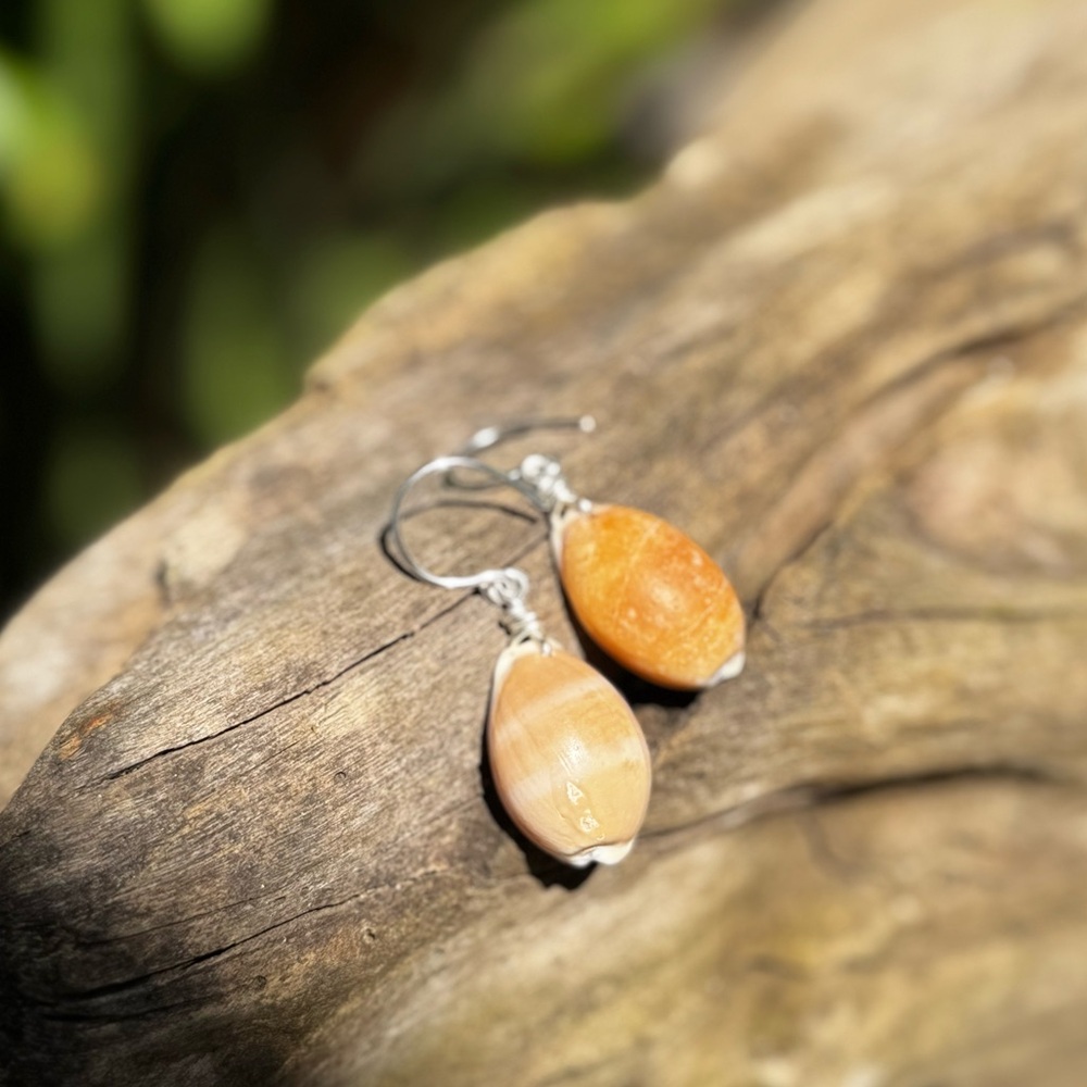 Eastern cowrie Shell Drop Earrings Puerto Rico - Picture 2 of 2